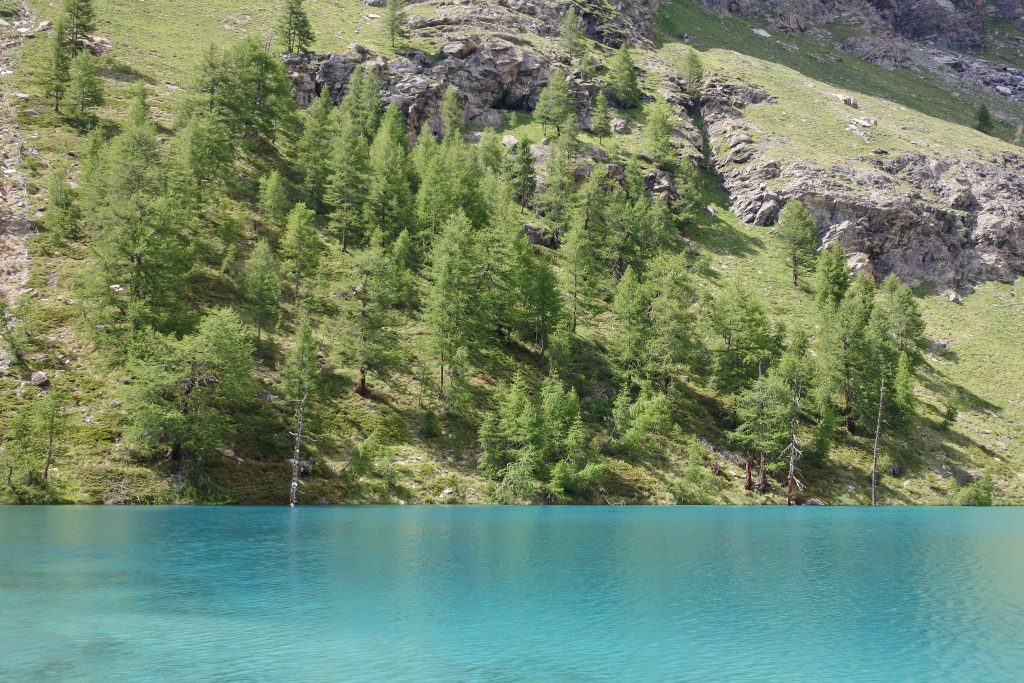 trek-mi-monterosa-blue-lake